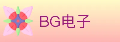 BG电子 logo